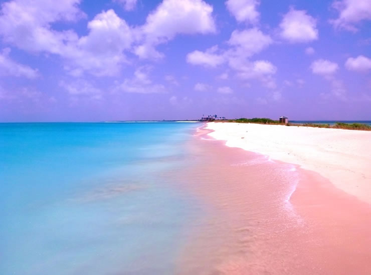 Pink Sand - Bahamas 