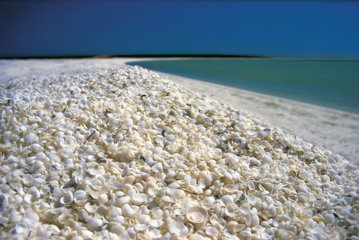 Shell Beach - Austrália