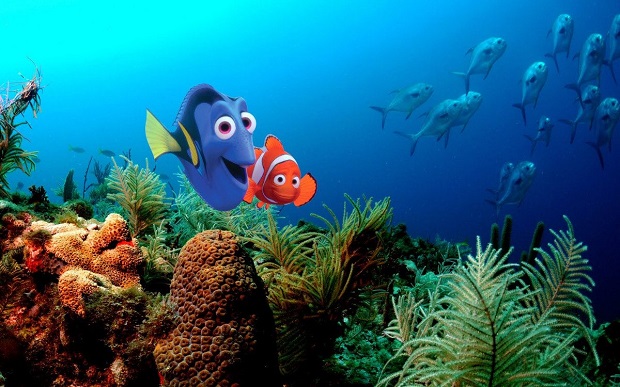 PROCURANDO NEMO - 2003