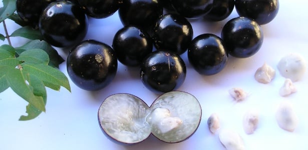 Farinha de Jabuticaba