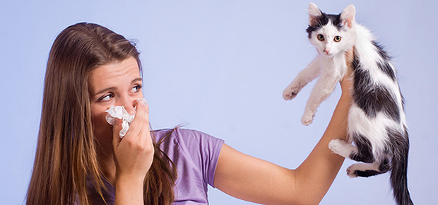 Comportamento: 18 situações que só alérgicos vão entender