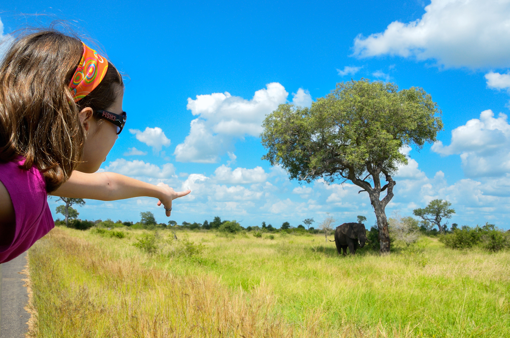 Viagens: 5 dicas imperdíveis para aproveitar ao máximo o safári na África do Sul