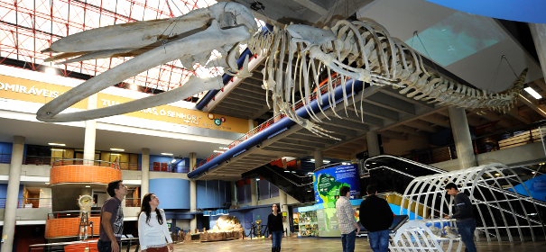 MUSEU DE CIÊNCIA E TECNOLOGIA DA PUCRS - PORTO ALEGRE