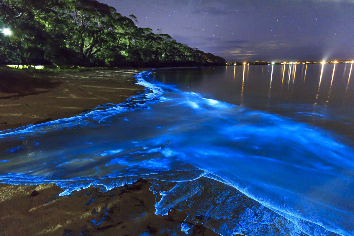 BIOLUMINESCENT, VAADHOO - MALDIVAS