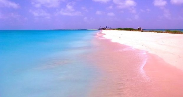 PINK SAND - BAHAMAS