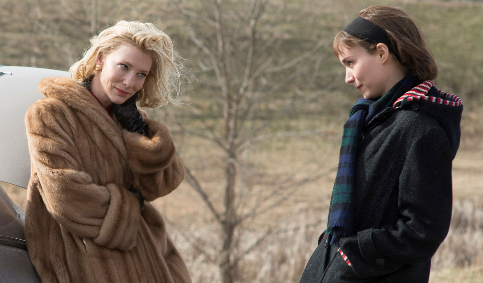 Carol (2015/2016)