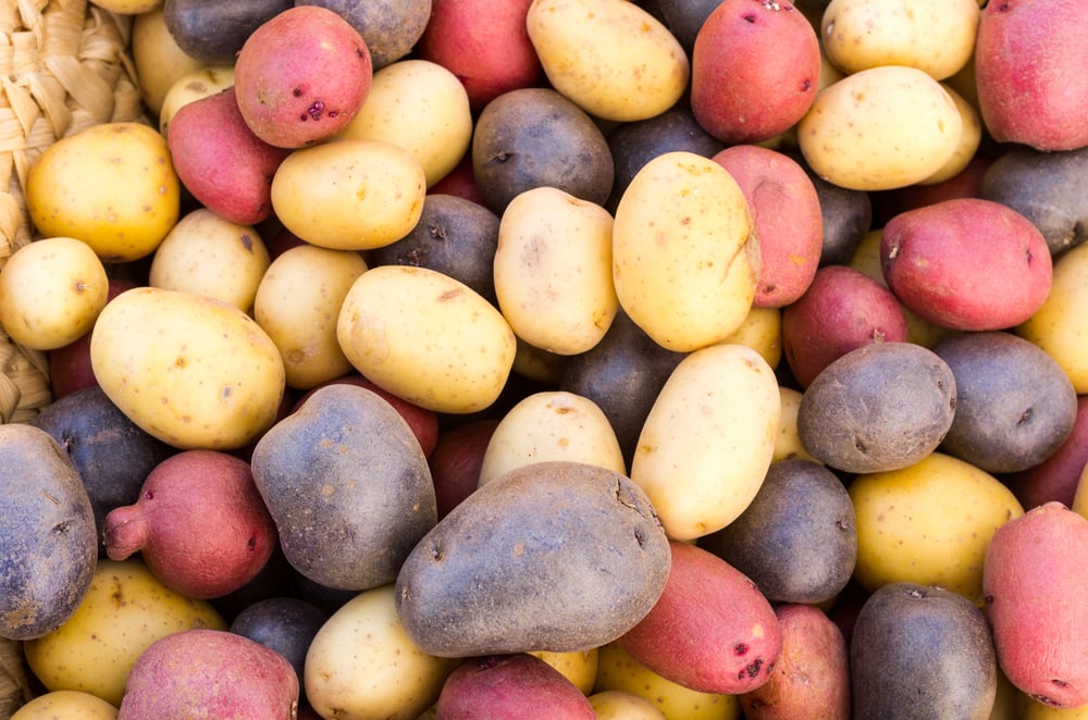 Batata frita: sequinha e bem crocante