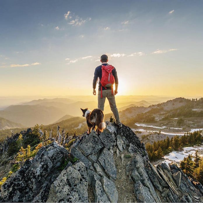 Viagens: 6 hotéis e pousadas que aceitam cães e gatos em SP 