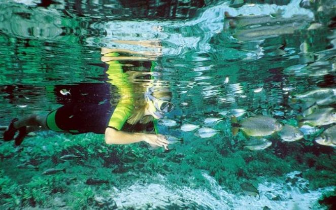 9 destinos incríveis de ecoturismo no Brasil