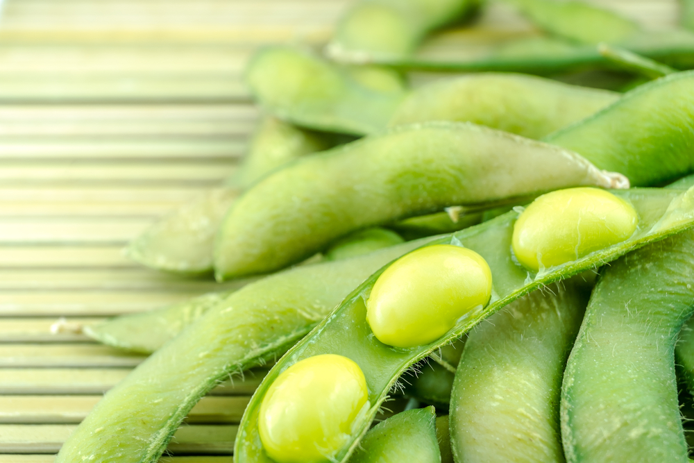 Homus de edamame e espinafre