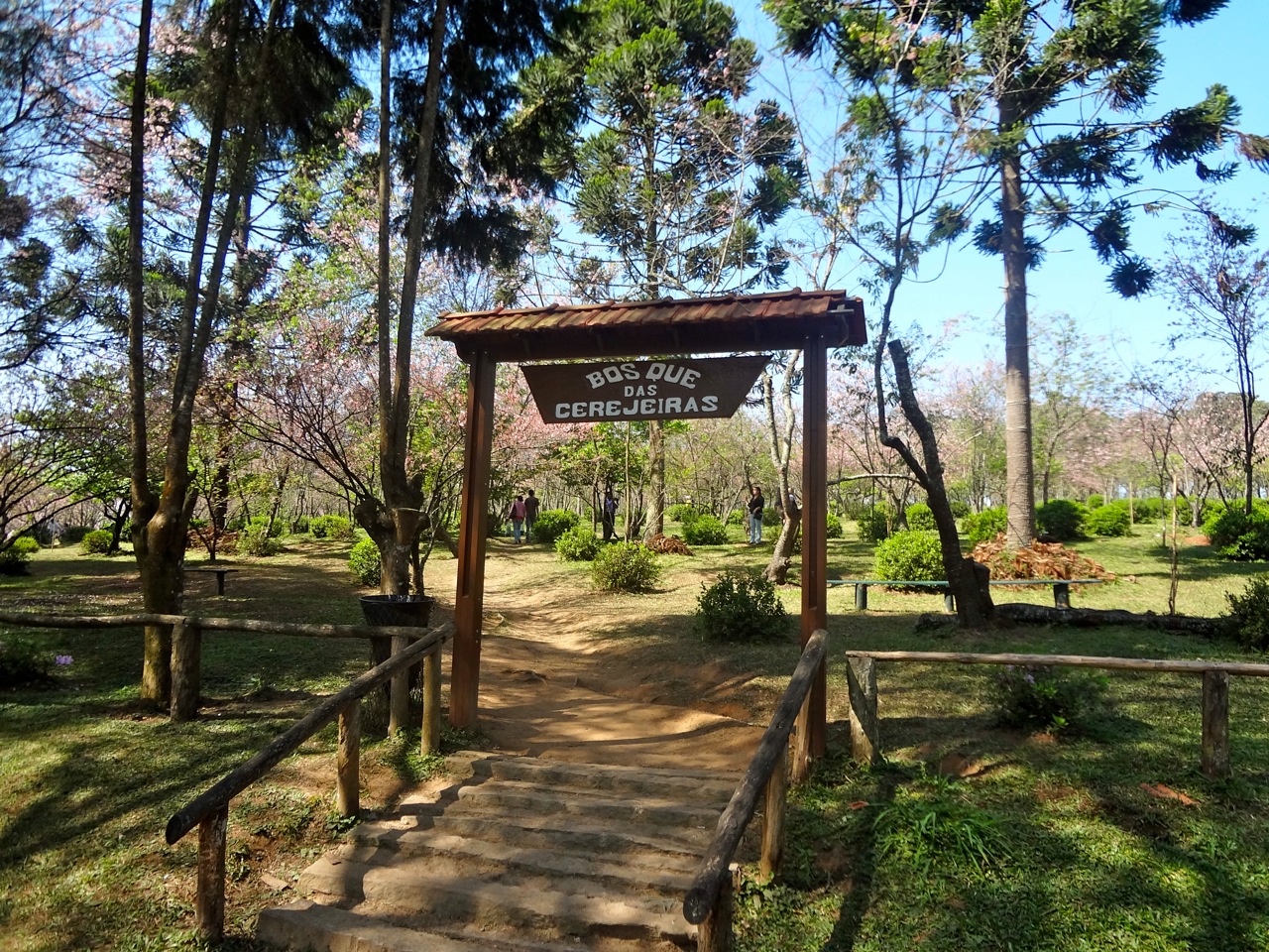 Jardim das Cerejeiras - Parque do Carmo