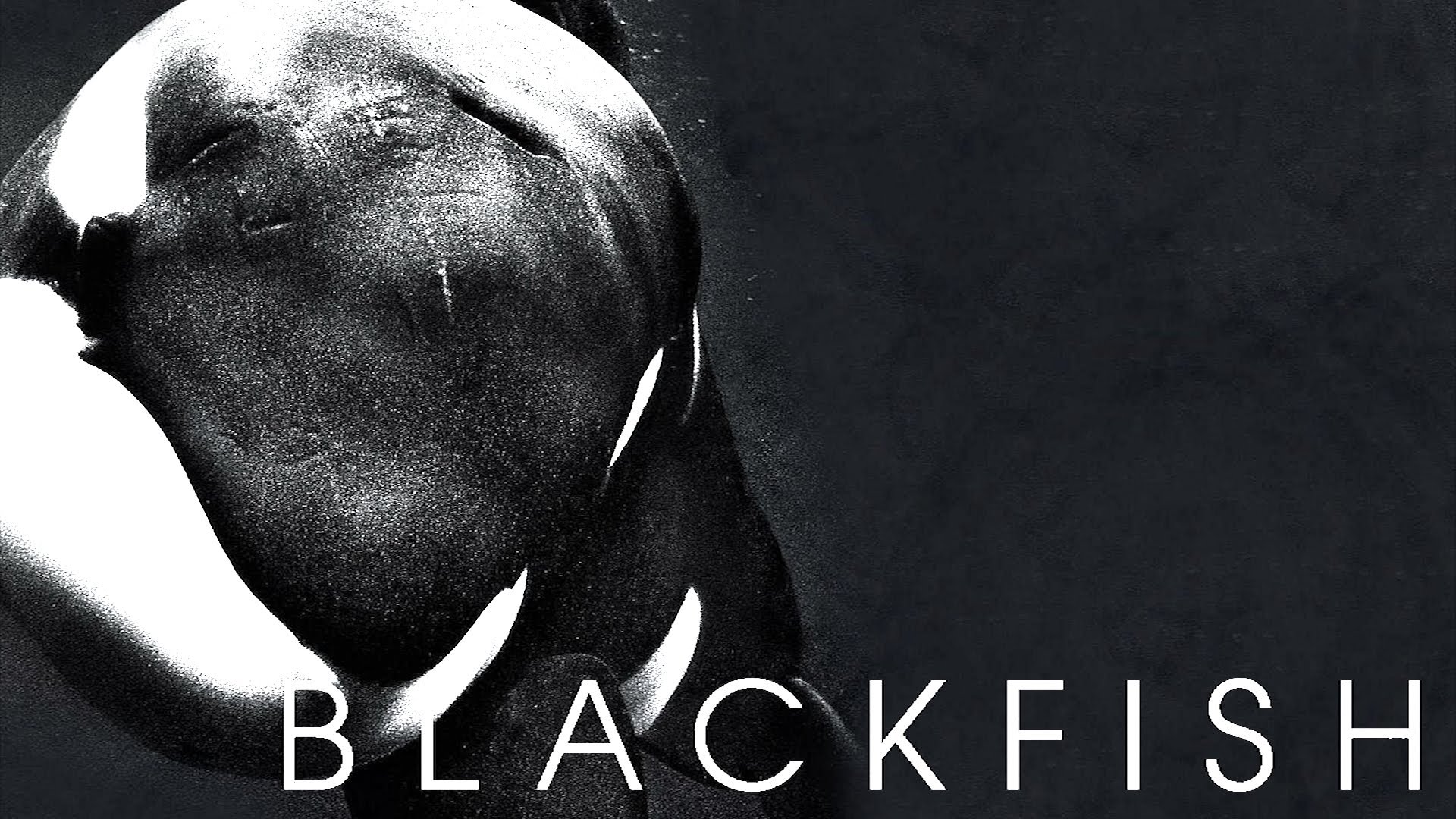 BLACKFISH