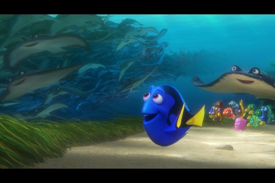 Cinema: 7 Curiosidades sobre “Procurando Dory” que vão te deixar ainda mais ansioso pela estreia