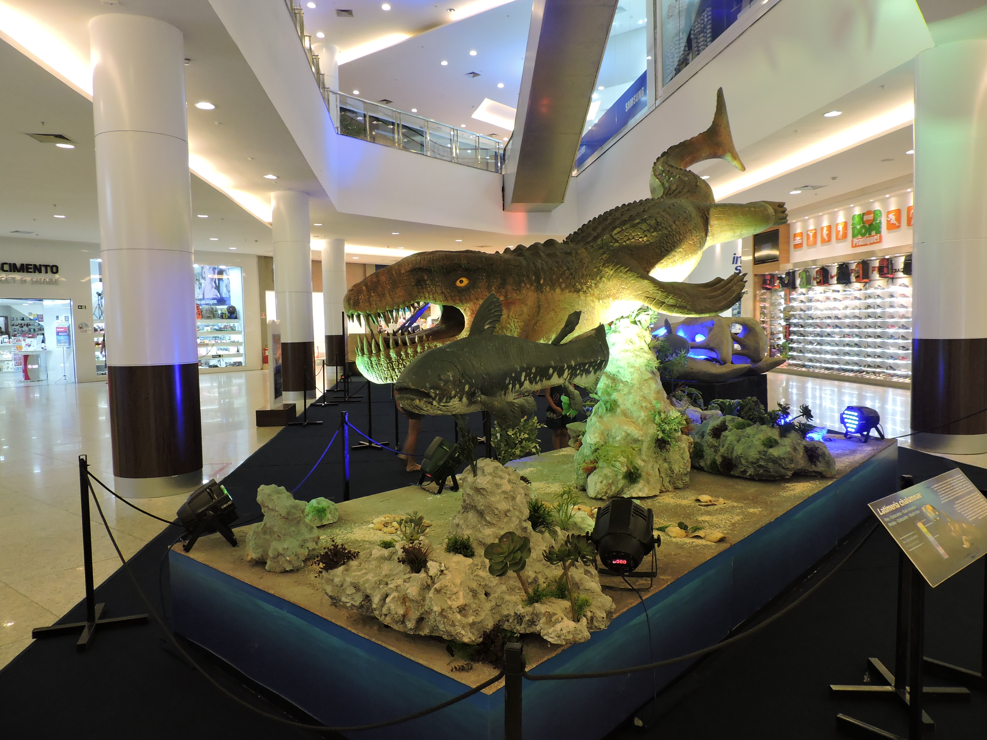 Exposição Gigantes Marinhos no Grand Plaza Shopping