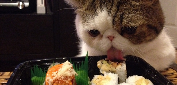 Comportamento: 15 prazeres que as pessoas que não gostam de comida japonesa nunca vão ter
