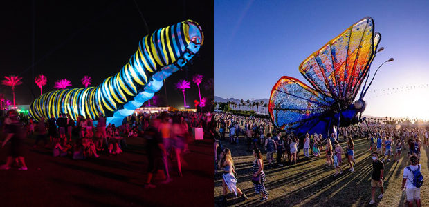 Papilio Merraculous | Coachella 