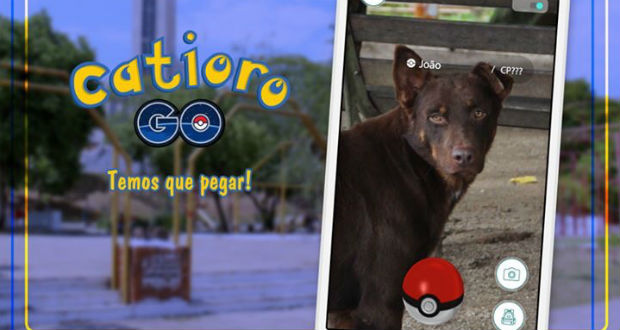 Catioro Go: campanha estimula adoção de cachorros abandonados