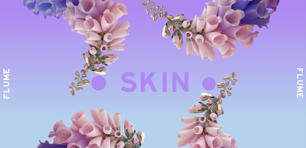 Flume | Skin